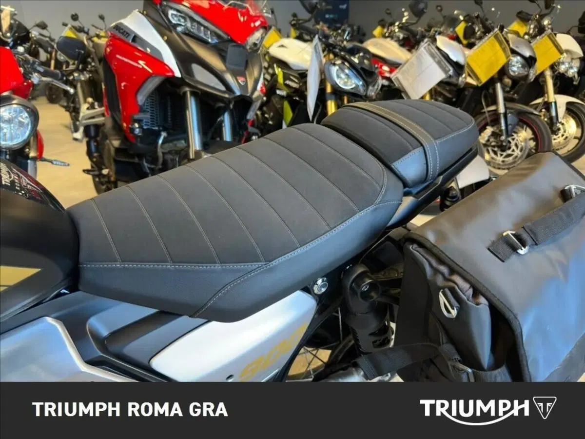 Triumph Scrambler 900 (2026) (19)
