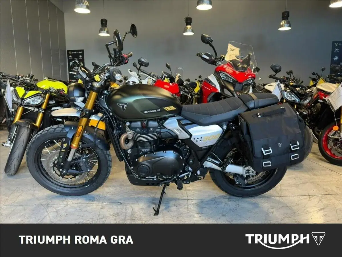 Triumph Scrambler 900 (2026) (3)