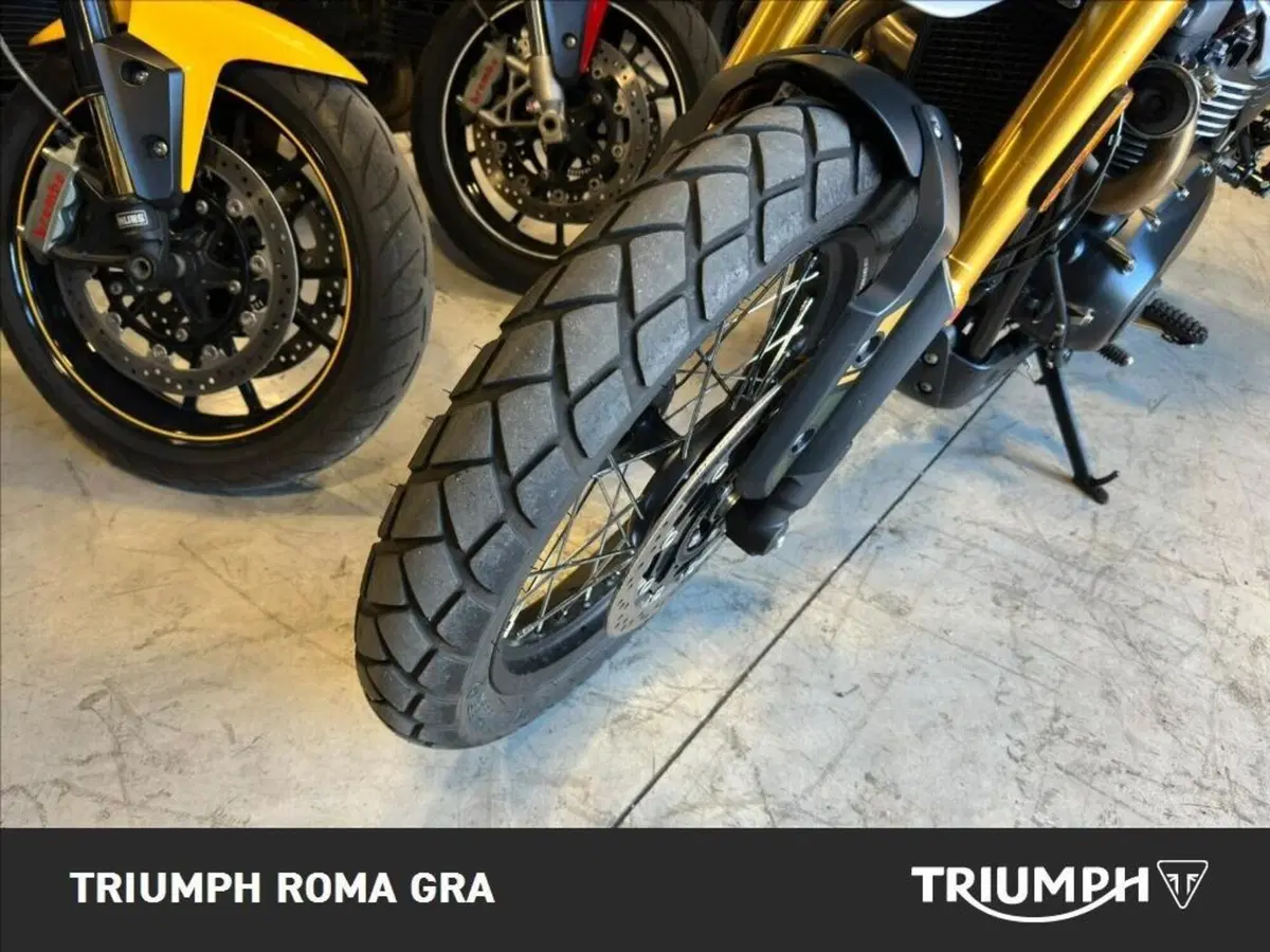 Triumph Scrambler 900 (2026) (21)