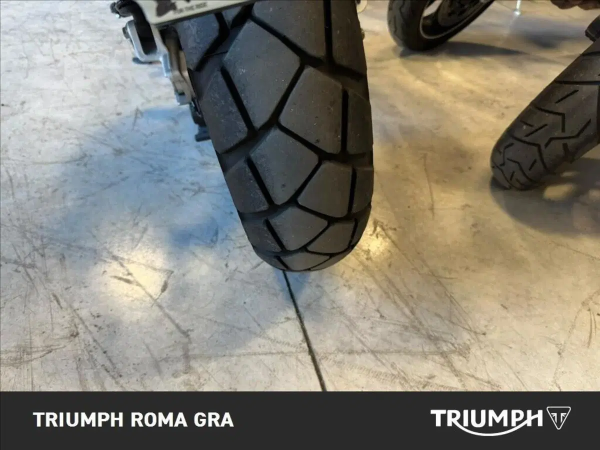 Triumph Scrambler 900 (2026) (22)