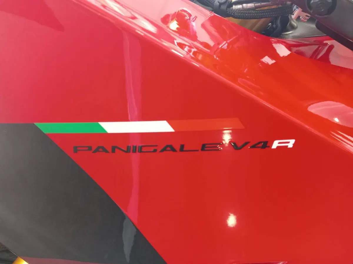Ducati Panigale V4 R (2023 - 24) (3)