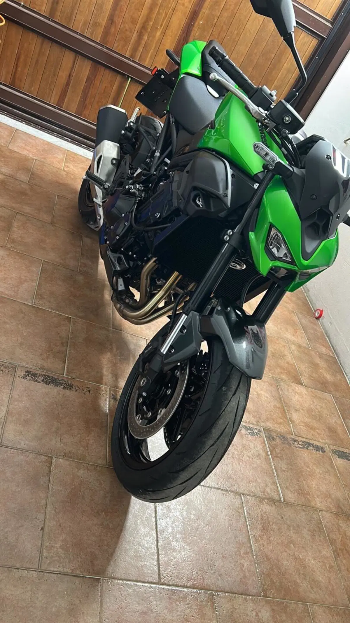 Kawasaki Z 900 Performance (2025 - 27) (2)
