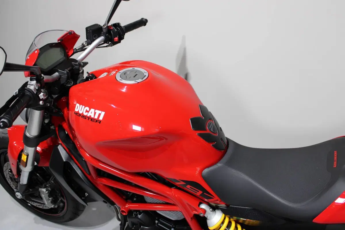 Ducati Monster 797 Plus (2019) (5)