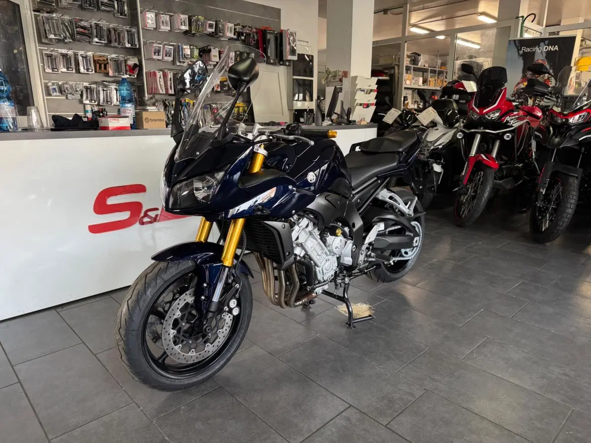 Yamaha FZ1 Fazer (2006 - 16) (2)