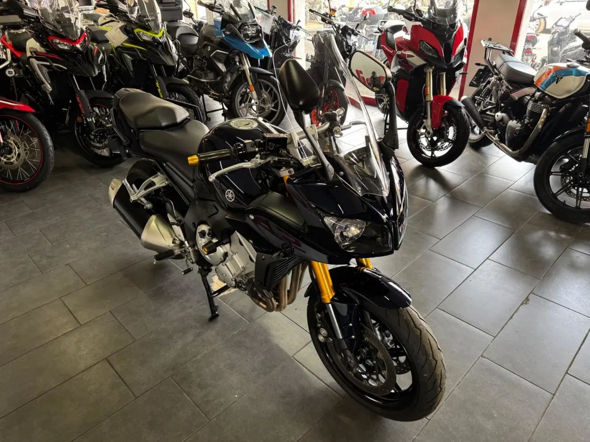 Yamaha FZ1 Fazer (2006 - 16) (5)