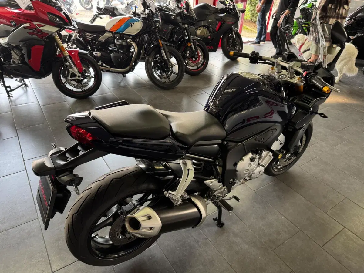 Yamaha FZ1 Fazer (2006 - 16) (6)