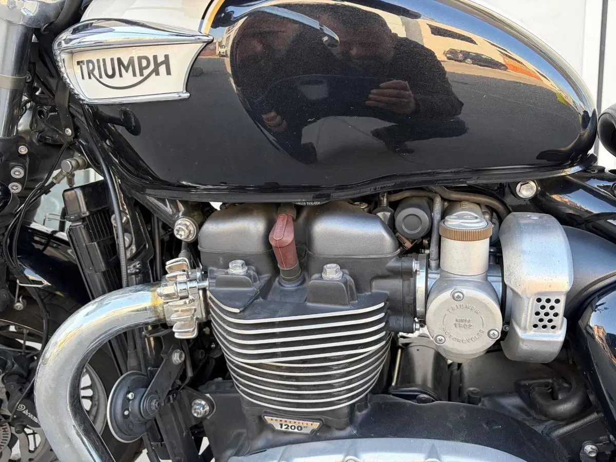 Triumph Bonneville Speedmaster 1200 (2018 - 20) (3)