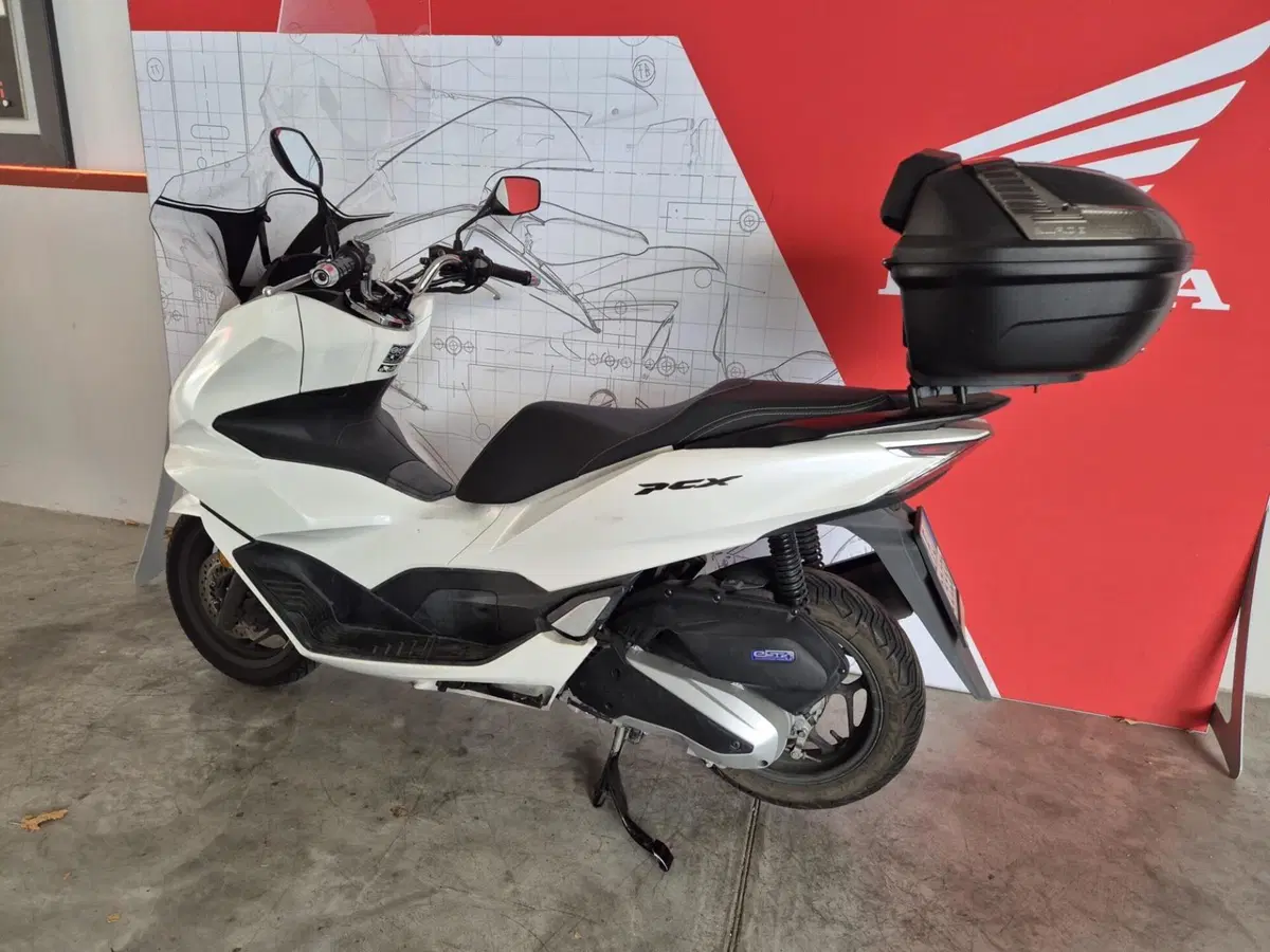 Honda PCX 125 (2021 - 24) (3)