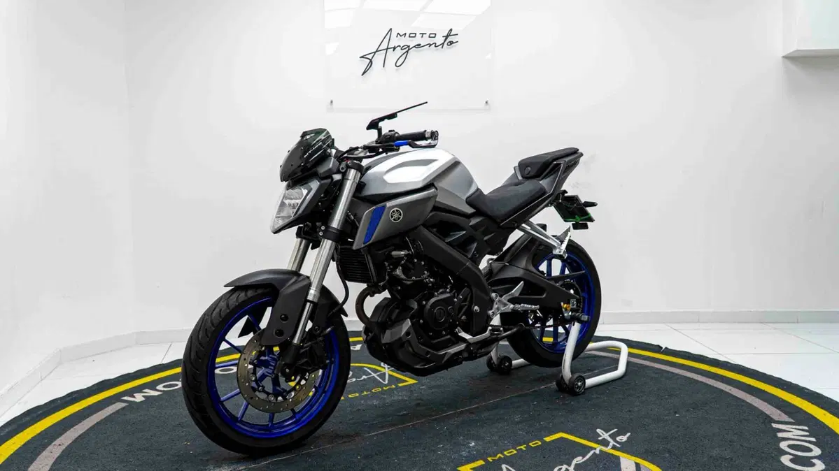 Yamaha MT-125 (2014 - 16) (9)
