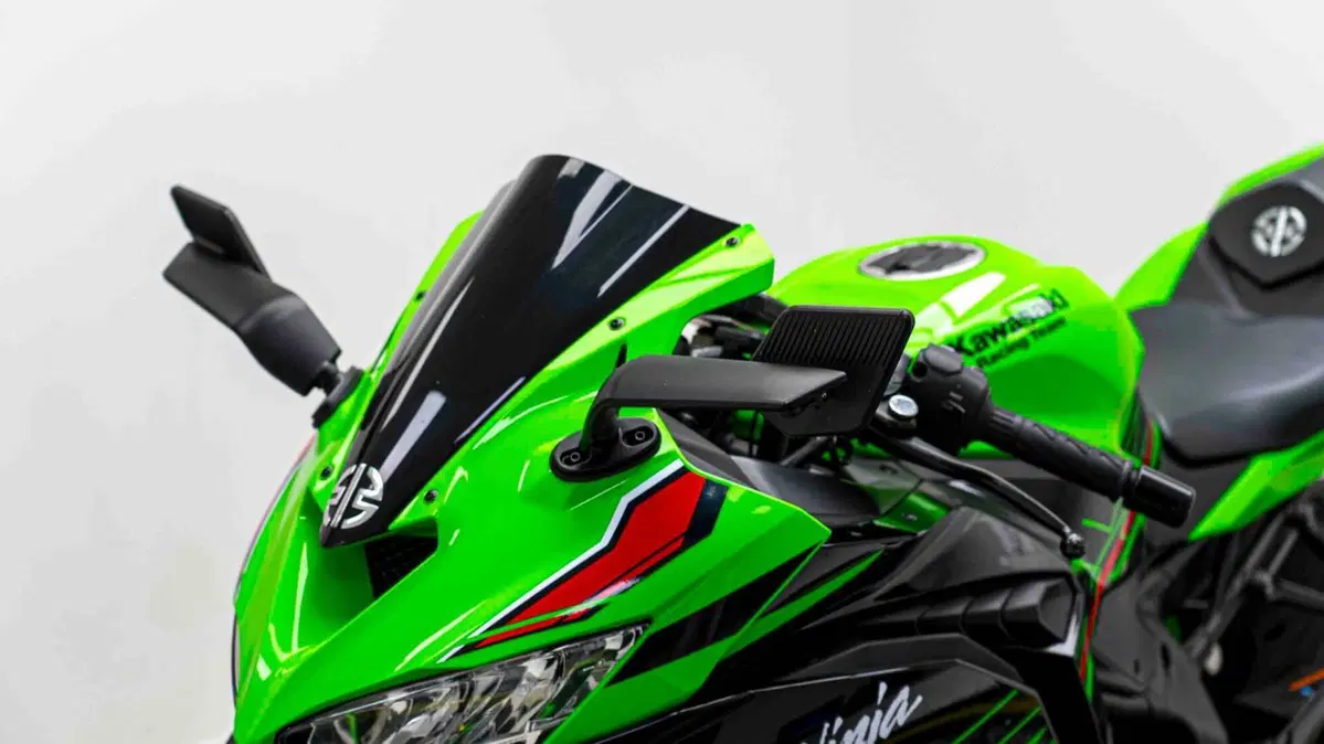 Kawasaki Ninja ZX-4RR (2024 - 27) (17)