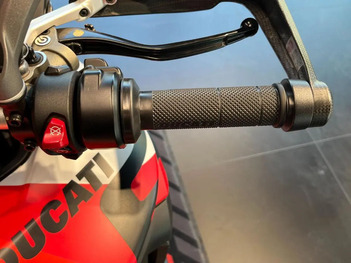 Ducati Multistrada V4 RS (2024 - 25) (10)