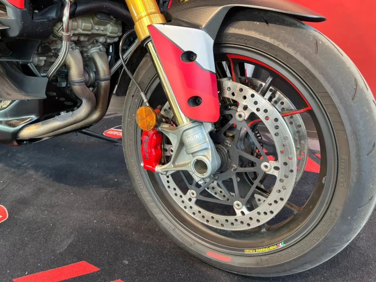 Ducati Multistrada V4 RS (2024 - 25) (4)