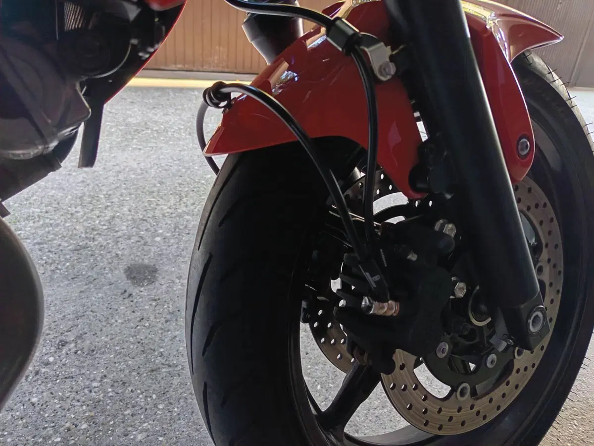 Suzuki Gladius 650 SFV (2009 - 15) (4)