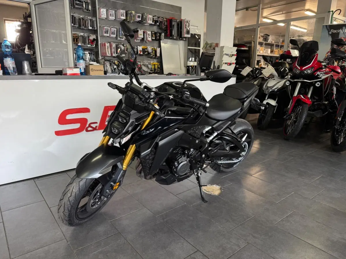 Suzuki GSX-S1000 (2021 - 25) (2)