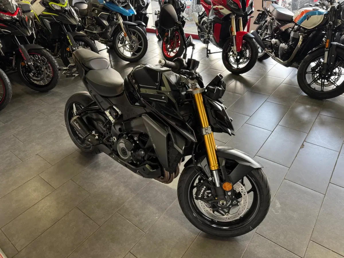 Suzuki GSX-S1000 (2021 - 25) (5)