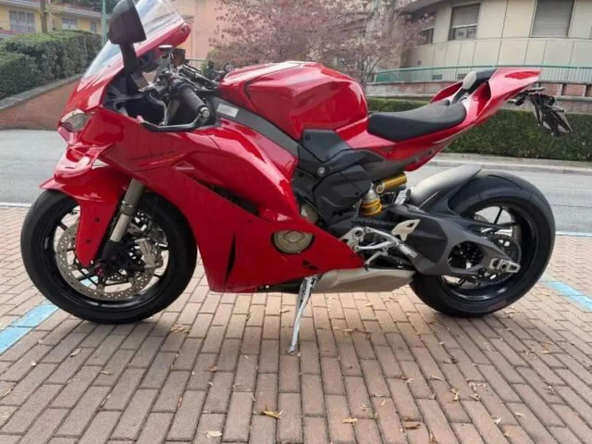 Ducati Panigale V4 (2025 - 26) (2)