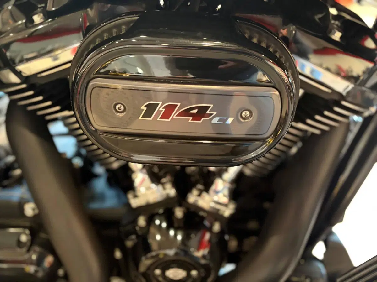 Harley-Davidson Road Glide Special (2021 - 23) (9)