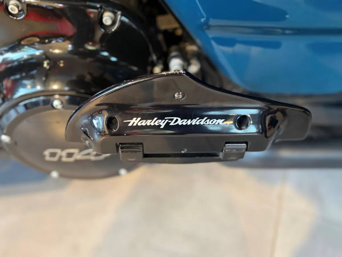 Harley-Davidson Road Glide Special (2021 - 23) (11)