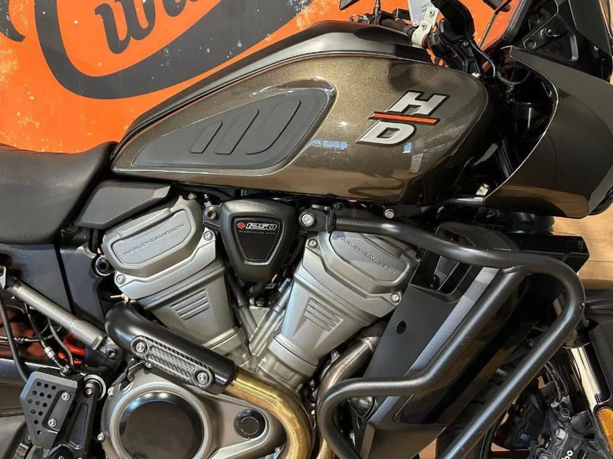 Harley-Davidson Pan America 1250 (2020 - 25) (5)
