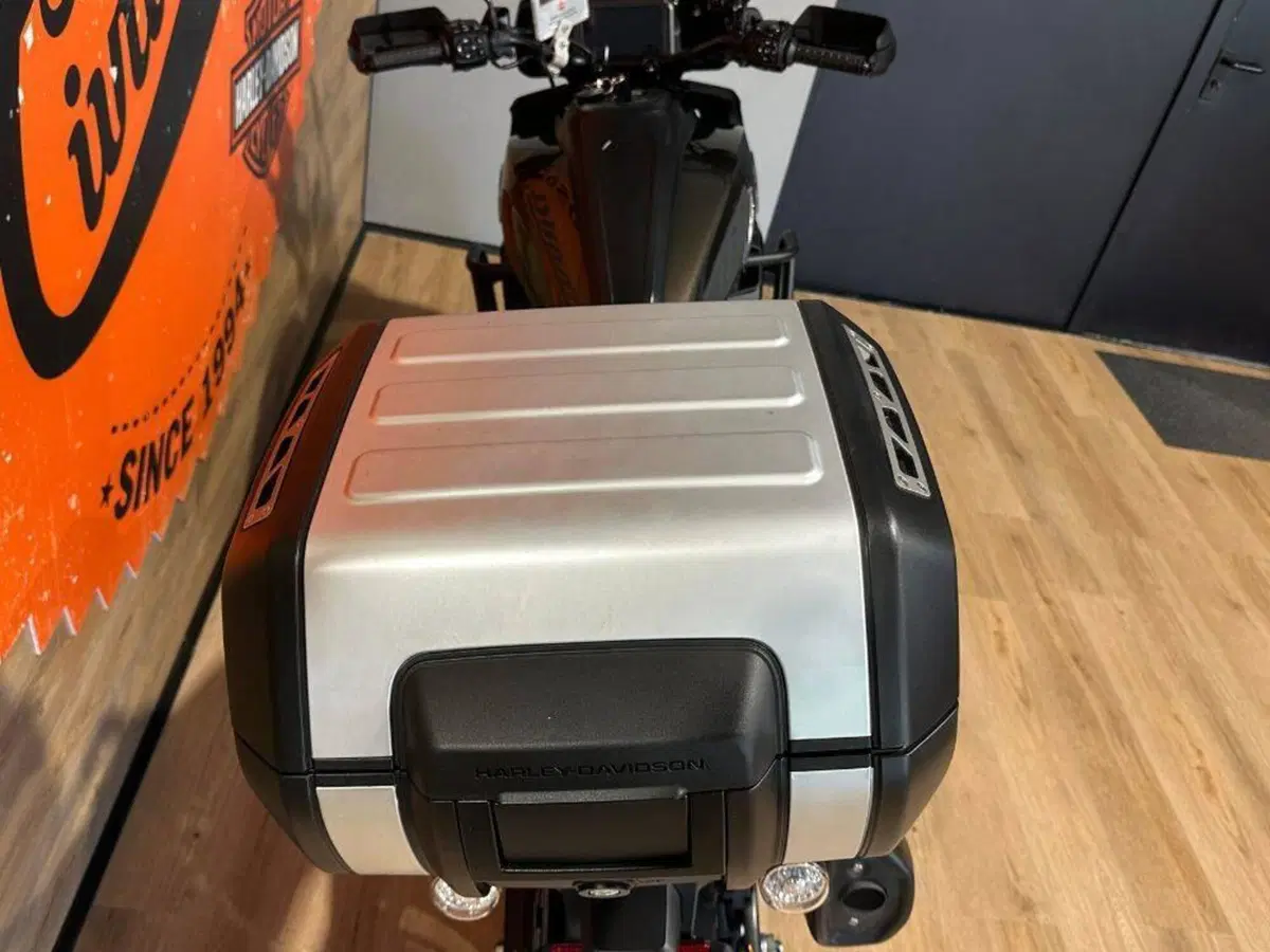 Harley-Davidson Pan America 1250 (2020 - 25) (7)