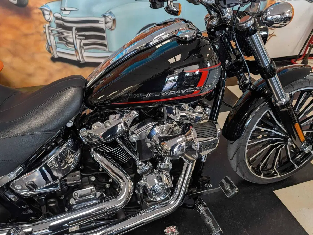 Harley-Davidson Breakout 117 (2023 - 24) (3)