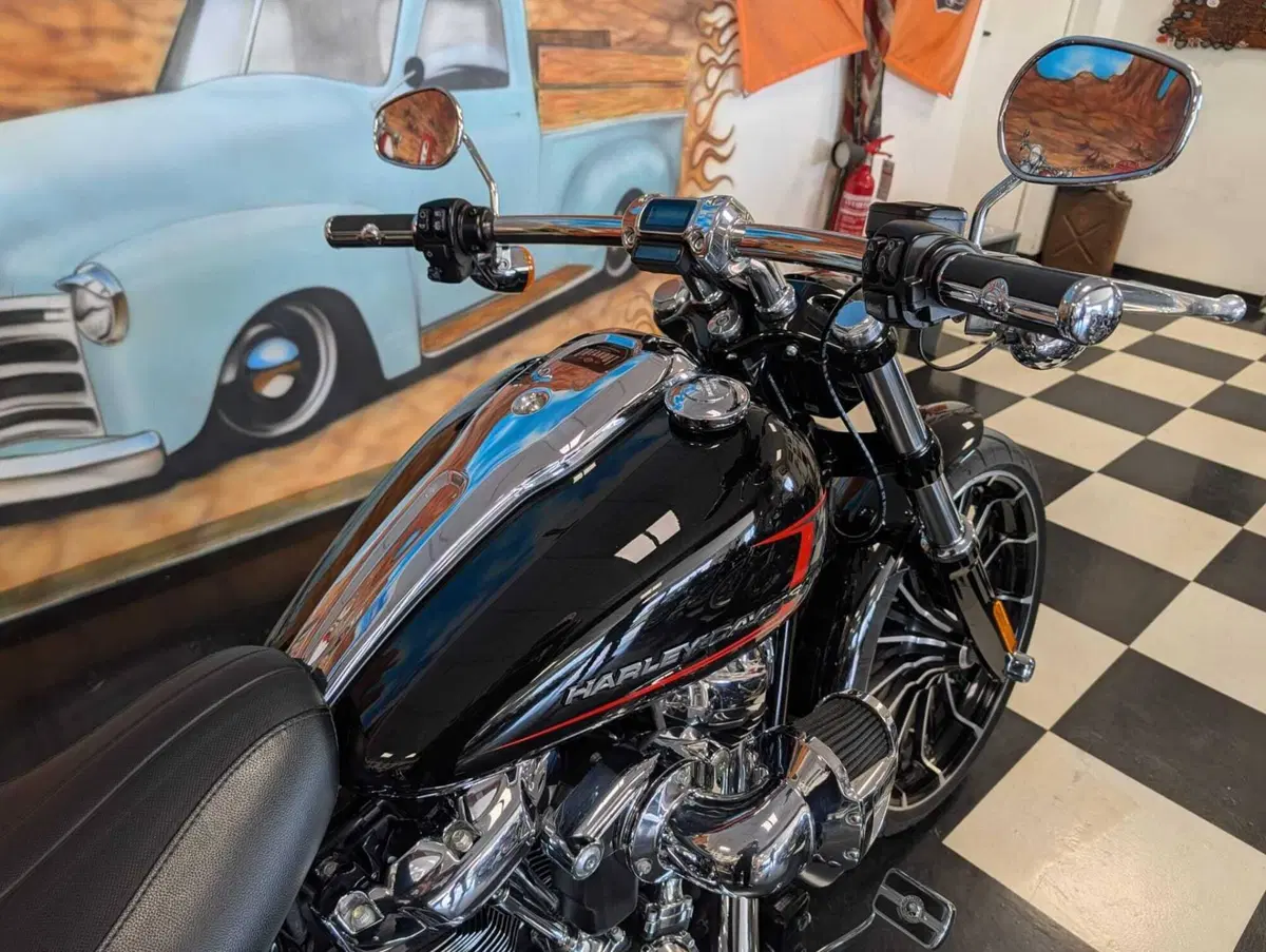 Harley-Davidson Breakout 117 (2023 - 24) (6)