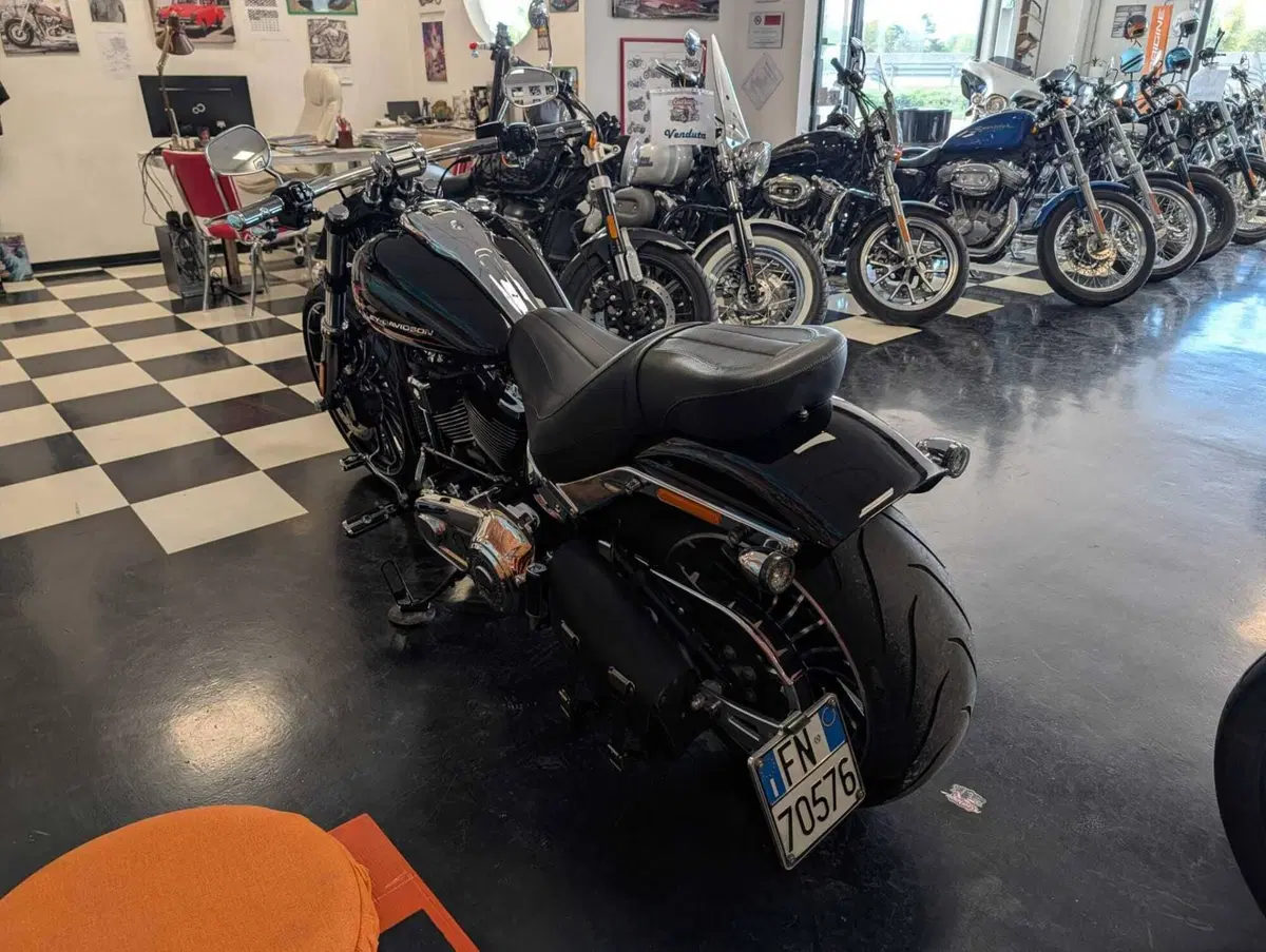 Harley-Davidson Breakout 117 (2023 - 24) (12)
