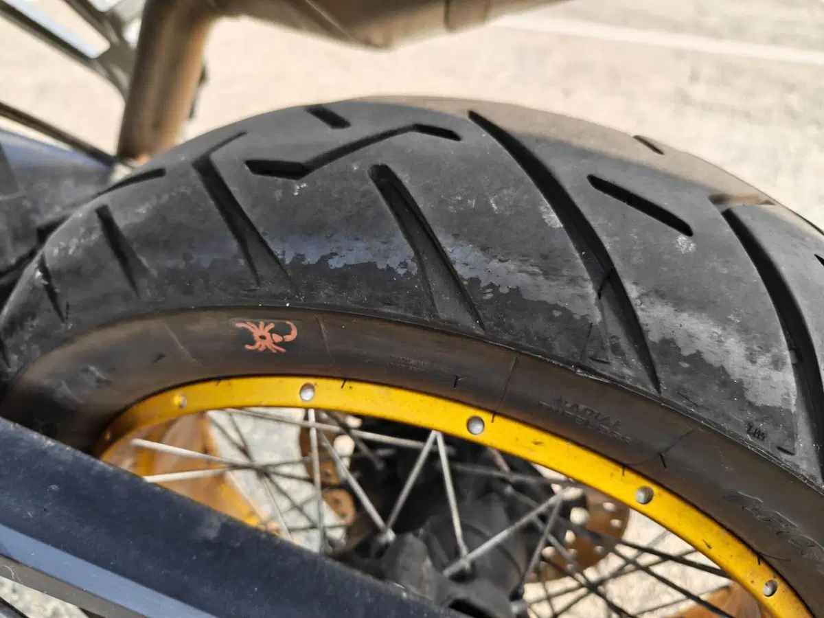 Bmw F 850 GS (2018 - 20) (20)