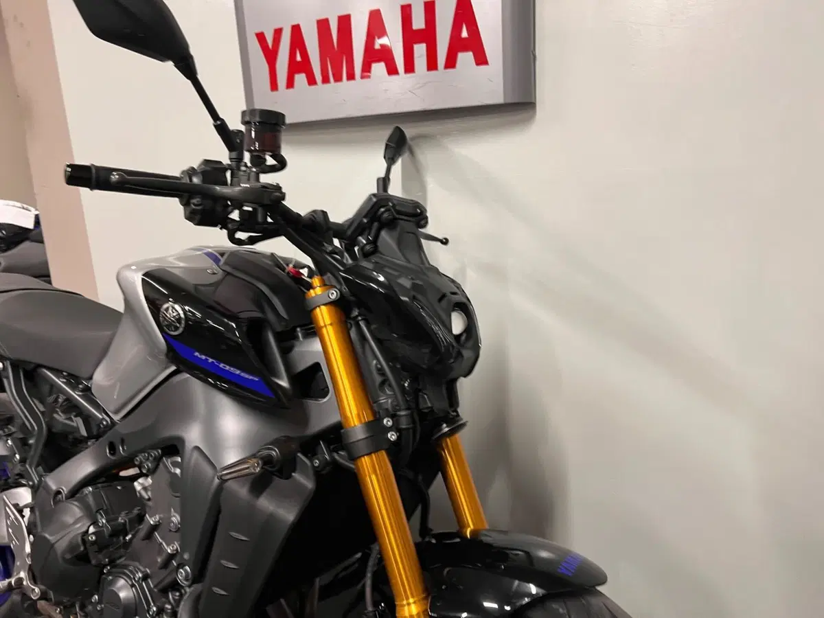 Yamaha MT-09 SP (2021 - 23) (2)