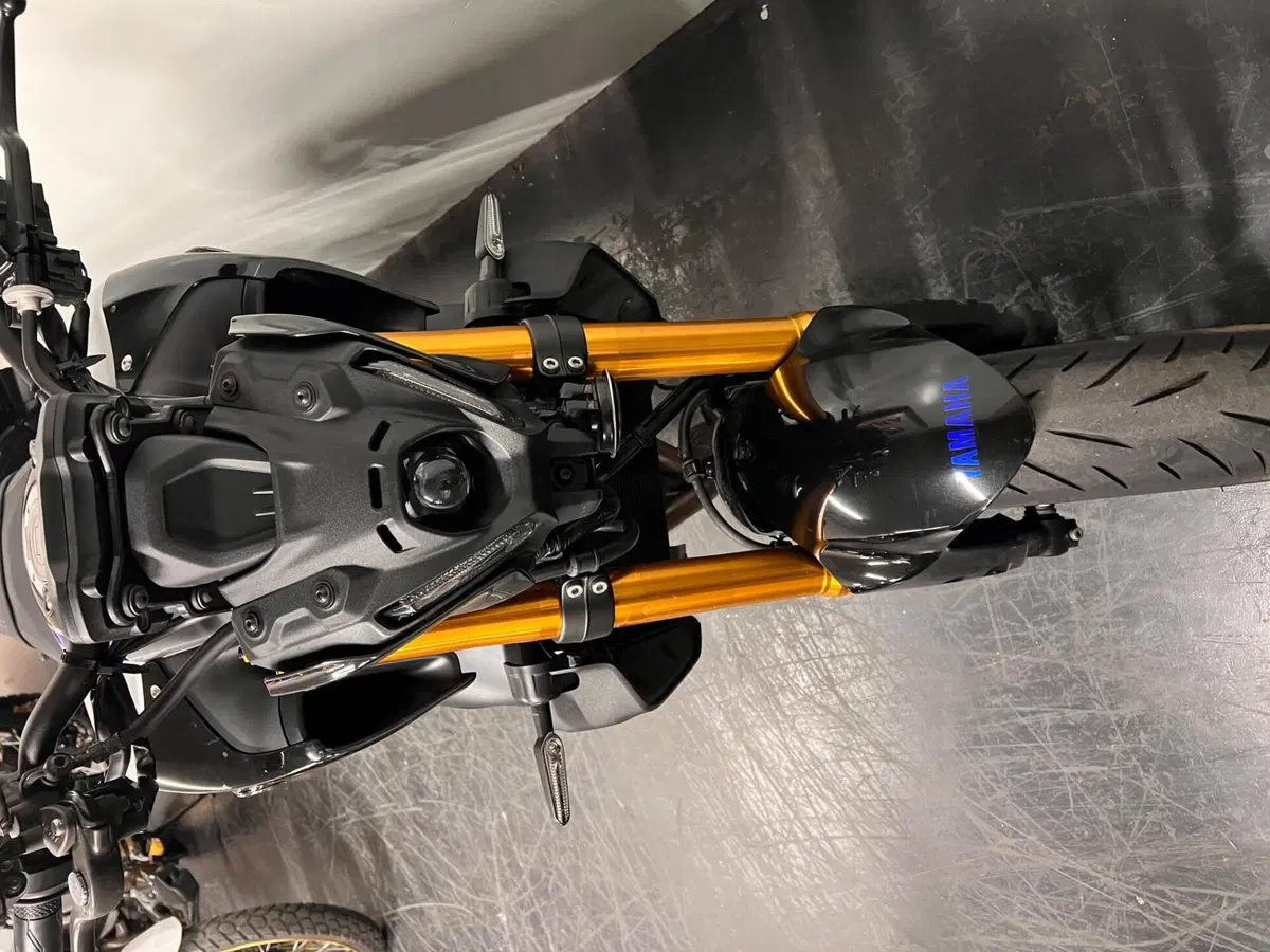 Yamaha MT-09 SP (2021 - 23) (3)