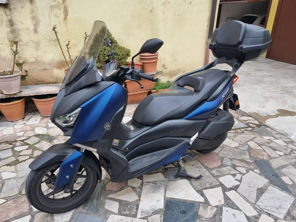 Yamaha X-Max 300 Iron Max (2019 - 20) (2)