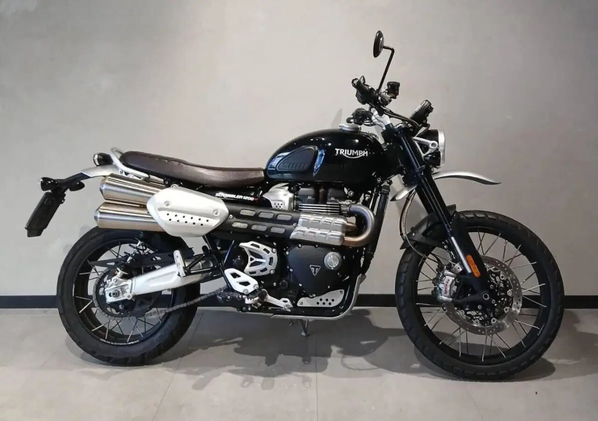 Ducati Scrambler 1100 Pro (2020 - 22) (6)