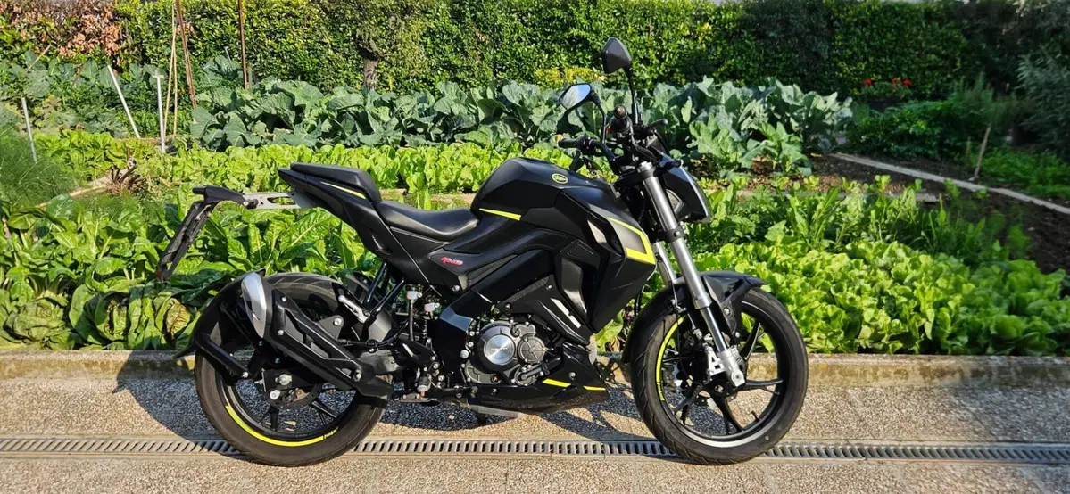 Keeway Motor RKF 125 (2021 - 24)