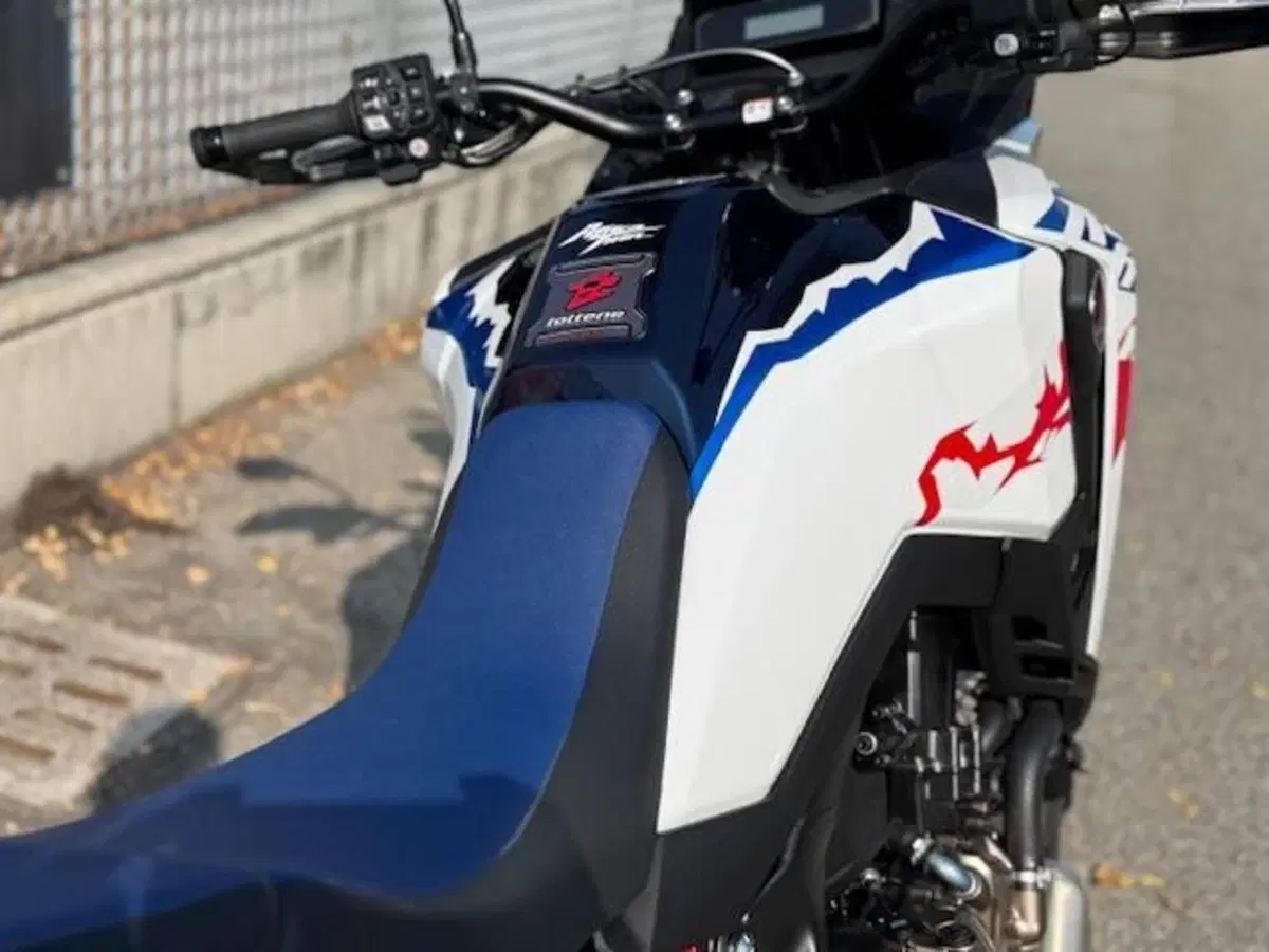 Honda Africa Twin CRF 1100L (2024 - 26) (6)
