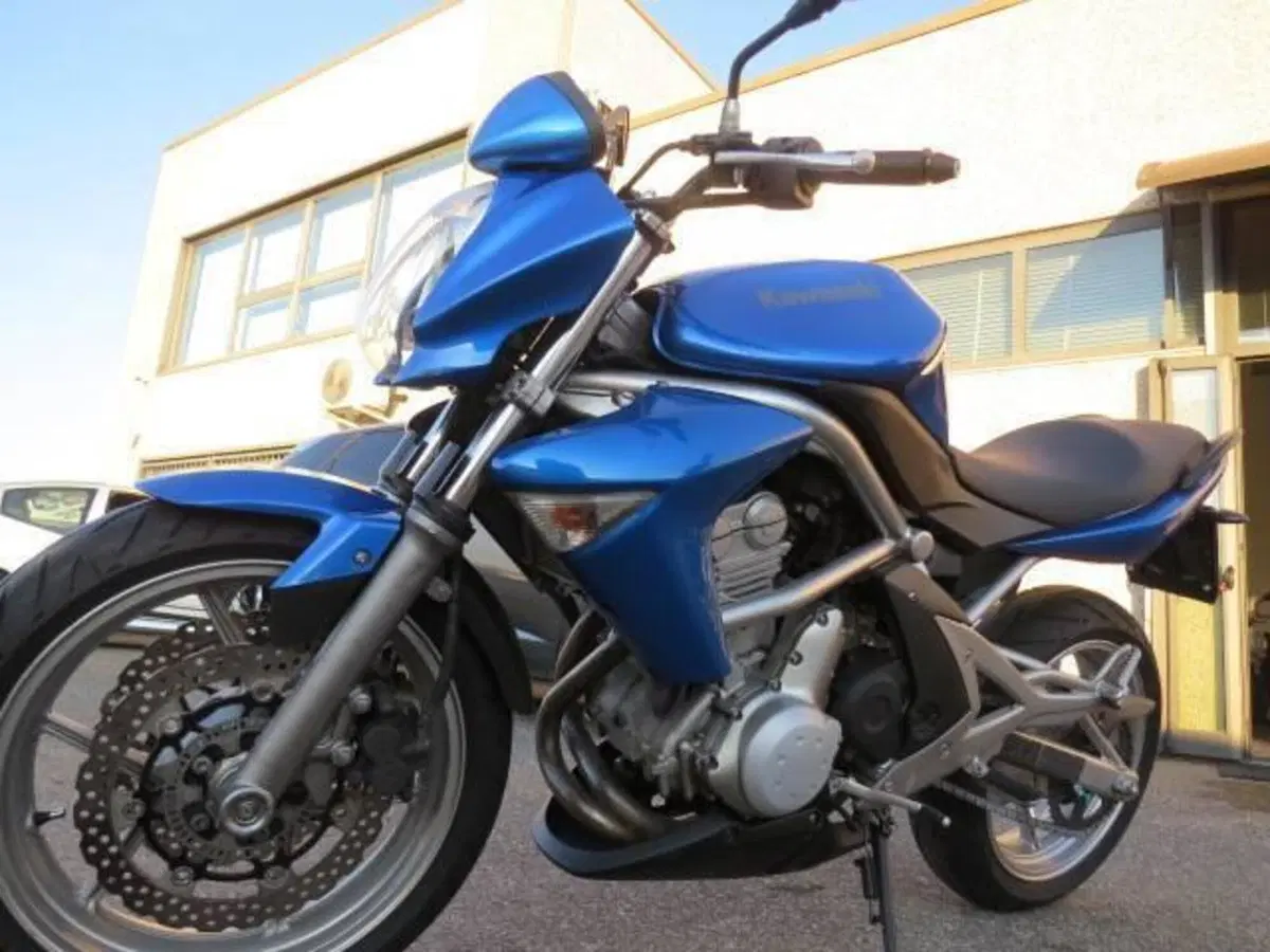 Kawasaki ER-6N (2009 - 11) (8)