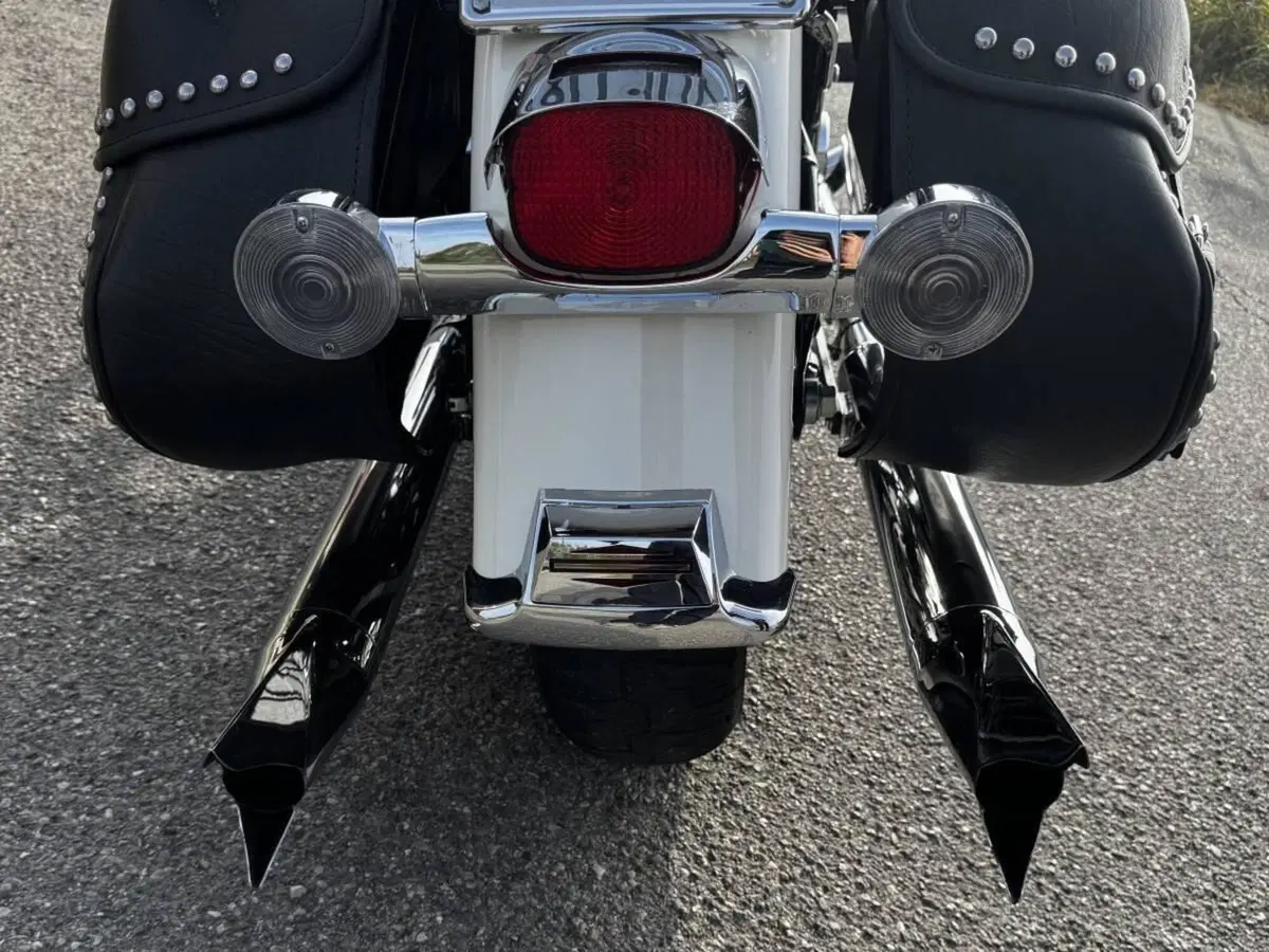 Harley-Davidson 1584 Heritage Classic (2006 - 07) - FLSTC (8)