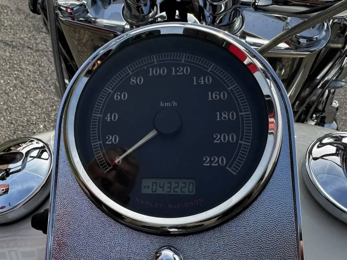 Harley-Davidson 1584 Heritage Classic (2006 - 07) - FLSTC (4)