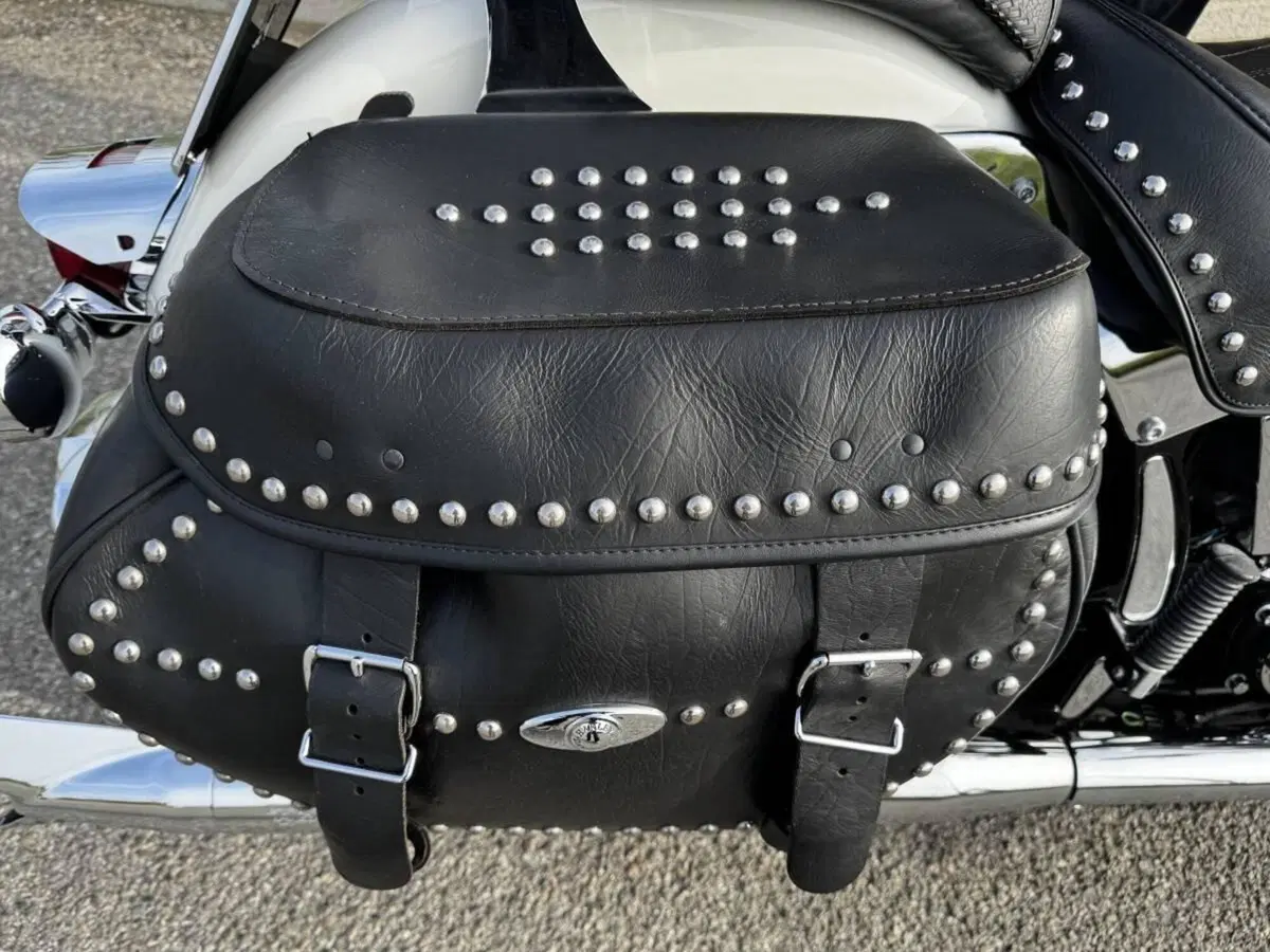 Harley-Davidson 1584 Heritage Classic (2006 - 07) - FLSTC (6)