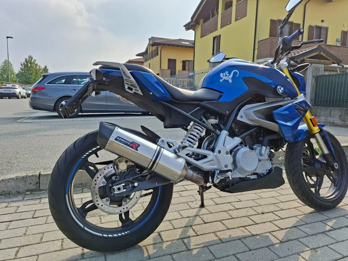 Bmw G 310 R (2016 - 20) (3)