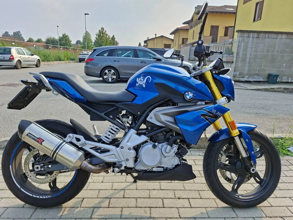 Bmw G 310 R (2016 - 20) (11)