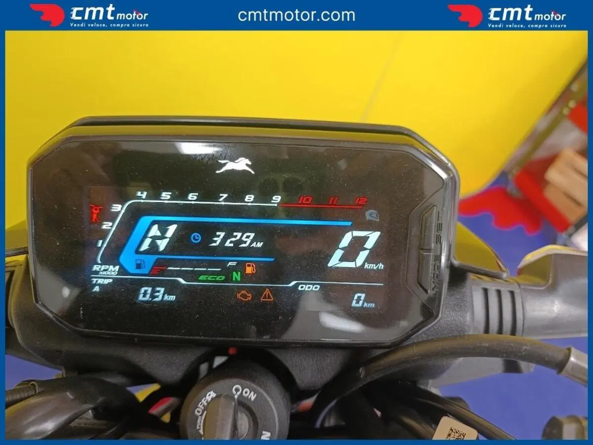 TVS Motor Raider 125 (2024 - 26) (5)