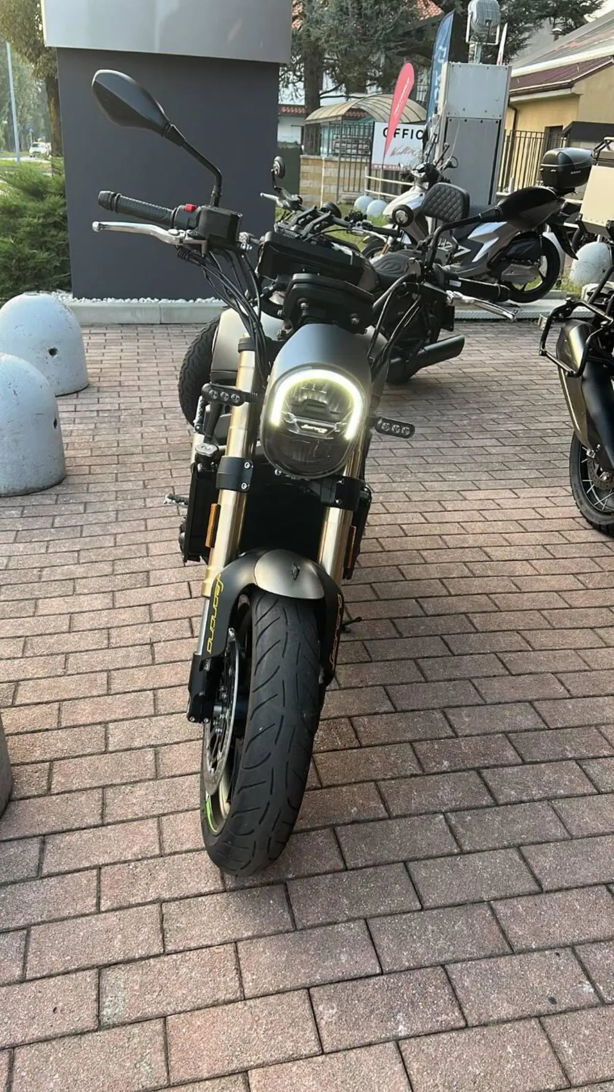 Benelli Leoncino 800 (2022 - 26) (3)