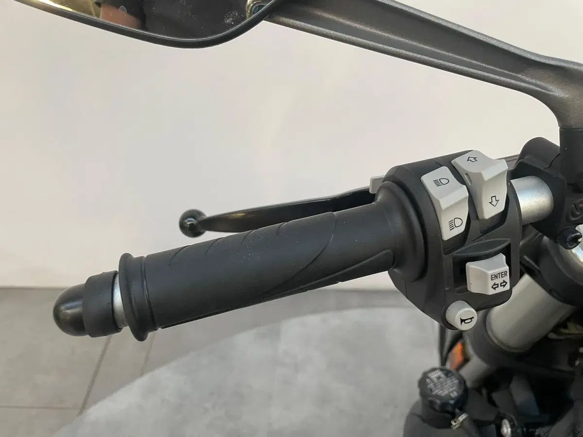 Ducati Monster 821 (2018 - 20) (9)
