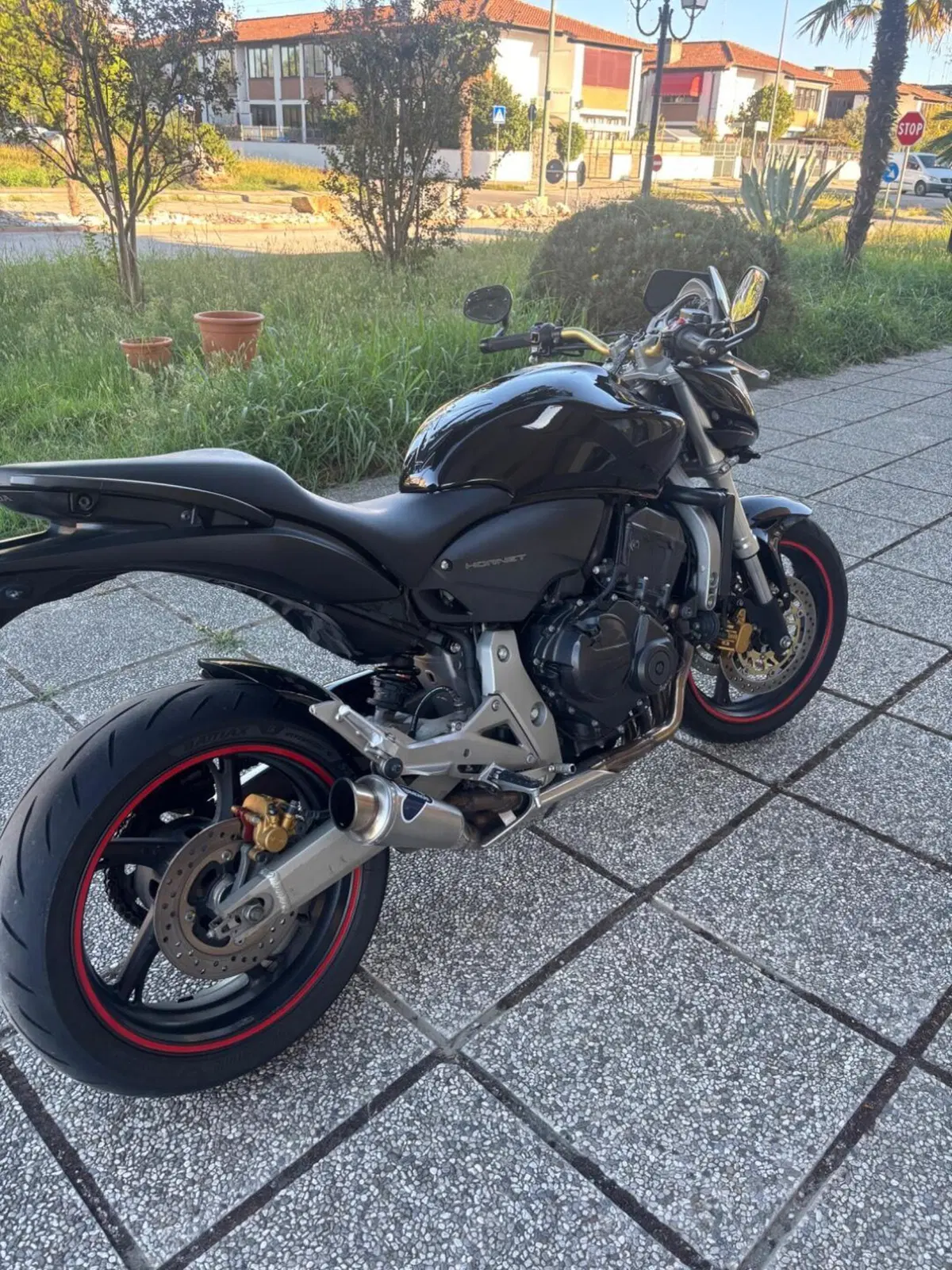 Honda Hornet 600 (2007 - 10) (6)