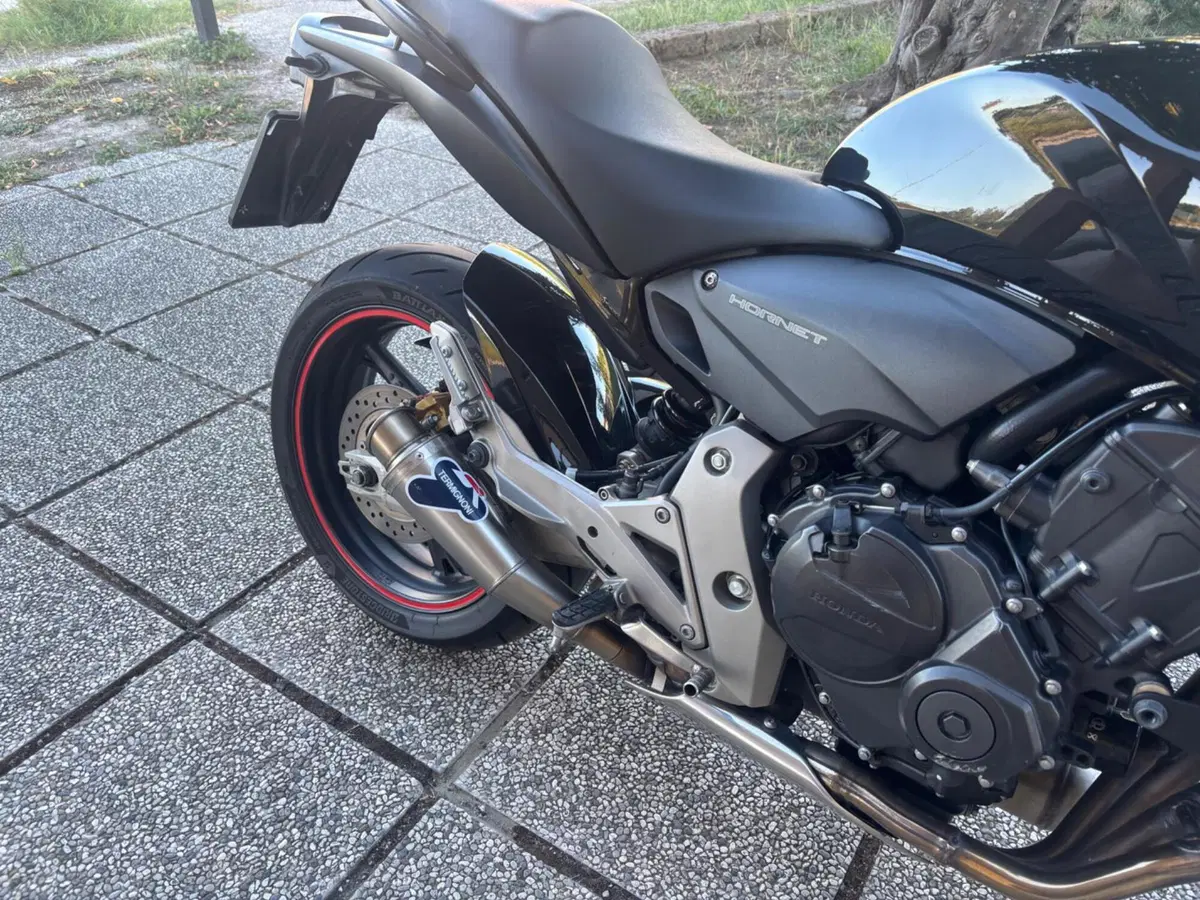 Honda Hornet 600 (2007 - 10) (9)