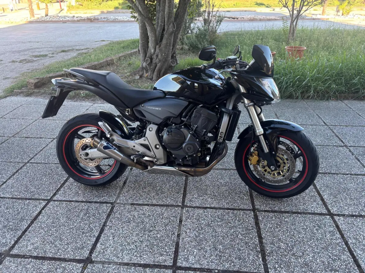 Honda Hornet 600 (2007 - 10) (10)