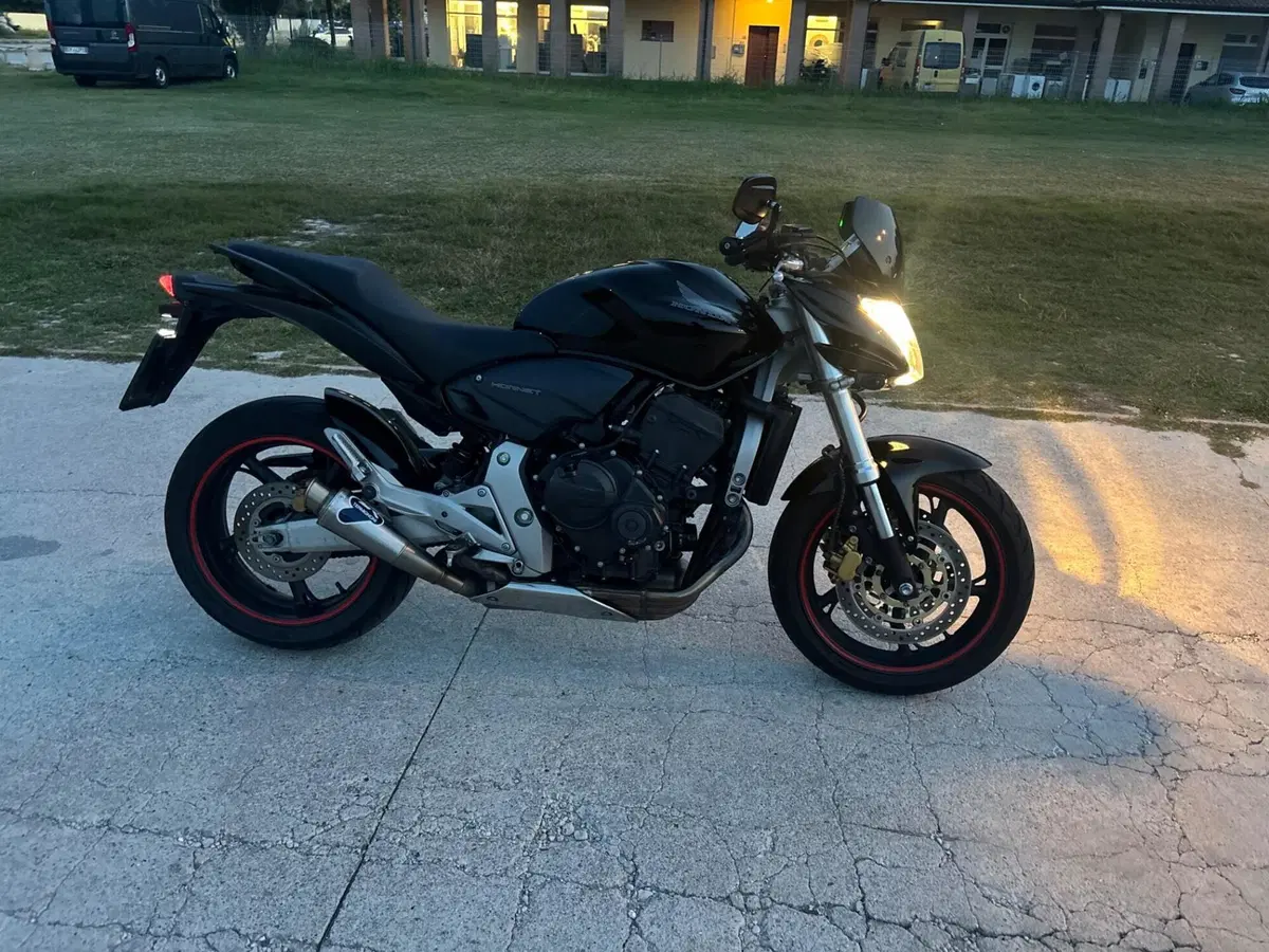 Honda Hornet 600 (2007 - 10) (13)