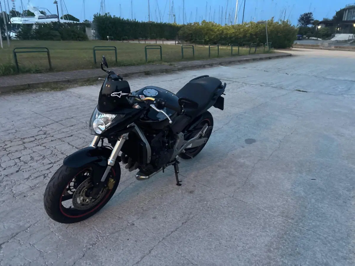 Honda Hornet 600 (2007 - 10) (14)