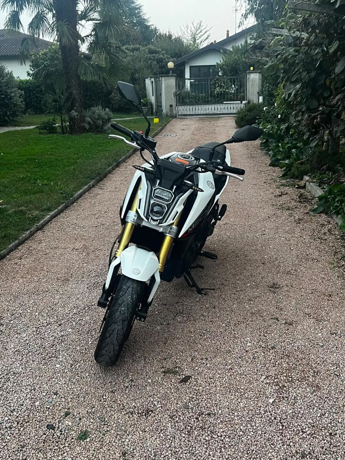 Morbidelli M502N (2024 - 26) (6)