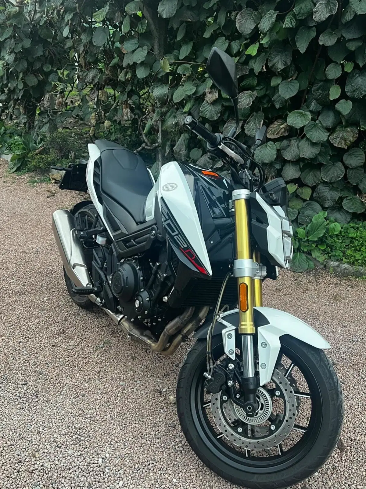 Morbidelli M502N (2024 - 26) (4)